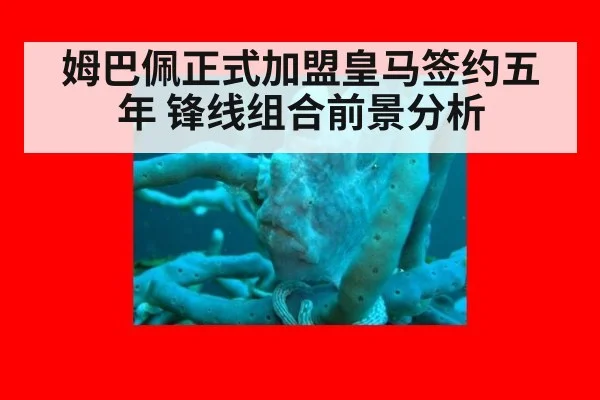 姆巴佩正式加盟皇马签约五年 锋线组合前景分析