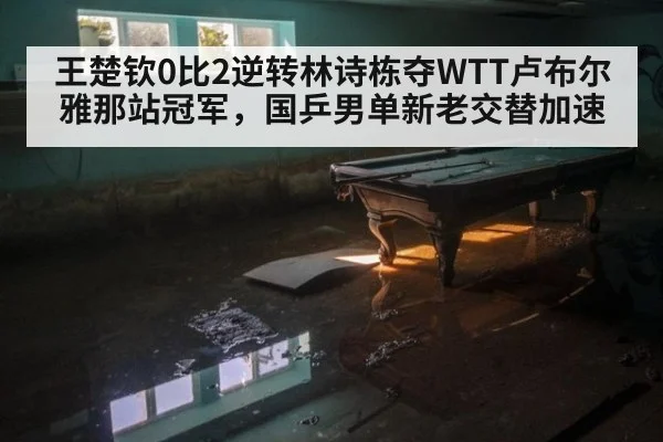 王楚钦0比2逆转林诗栋夺WTT卢布尔雅那站冠军,国乒男单新老交替加速